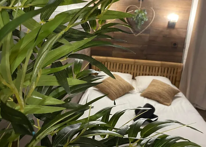 By Neptune - Appartement Bali Jacuzzi